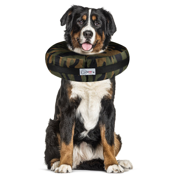 Camo - Pet Recovery Collar