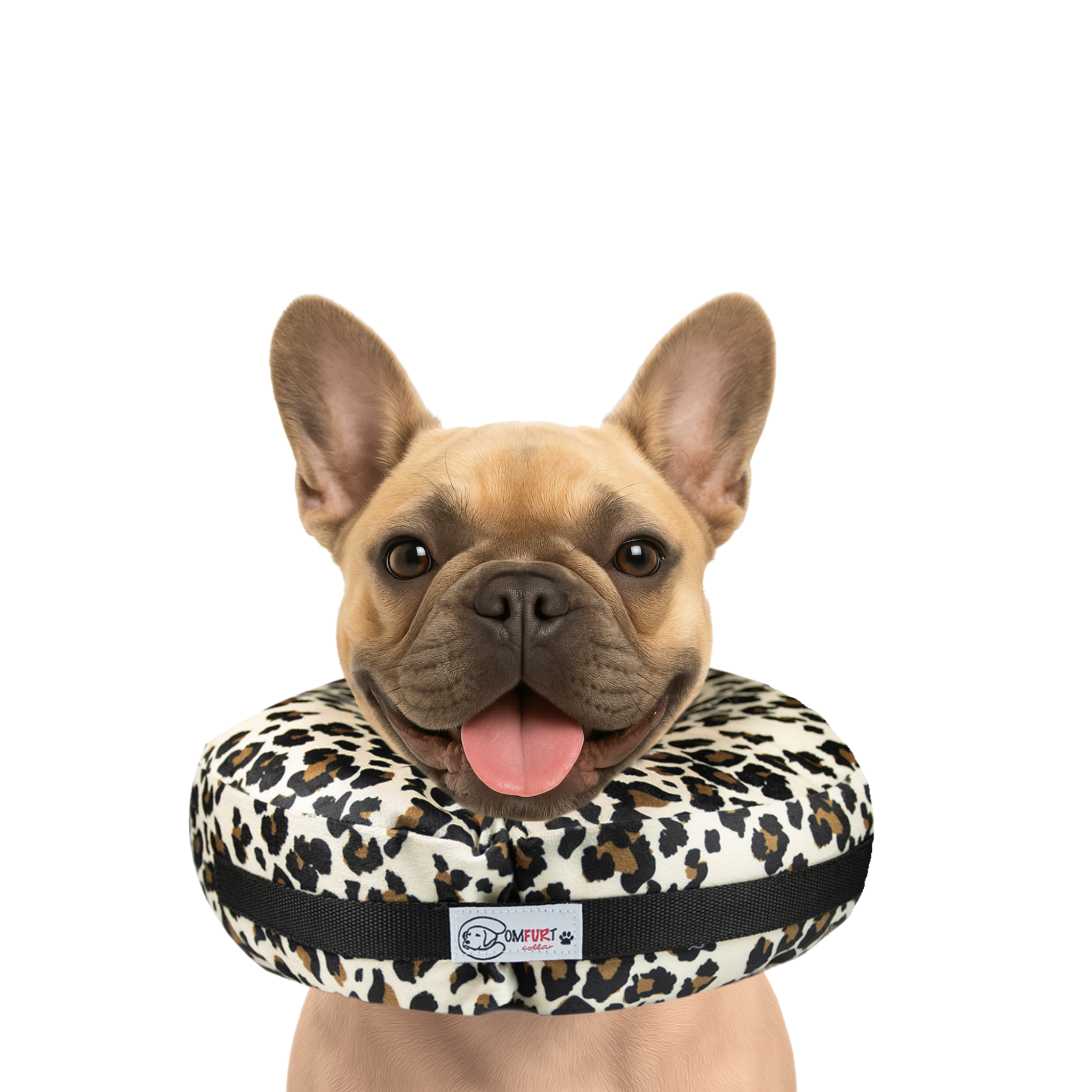 Pet Collar, Big Tiger Print Stijlvolle Pet Accessory Mode Pet Collar Pet Collar, Big Tiger Print Stijlvolle Pet Accessory Mode Pet Collar