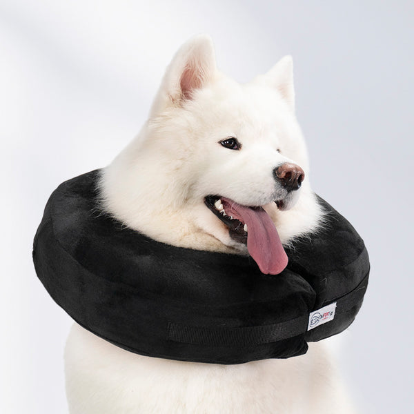Black - Pet Recovery Collar